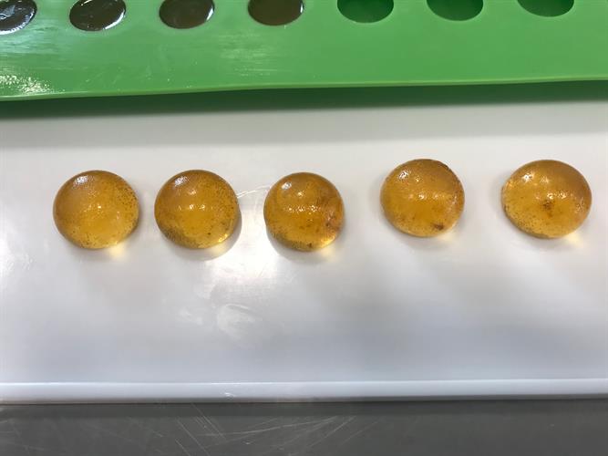 Awema Micro100 Gummy Depositor Processing + Packaging Equipment